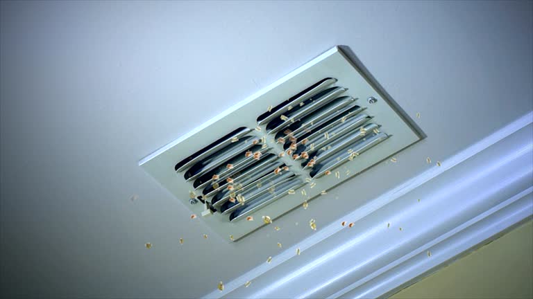 Best HVAC System Cleaning  in Steiner Ranch, TX