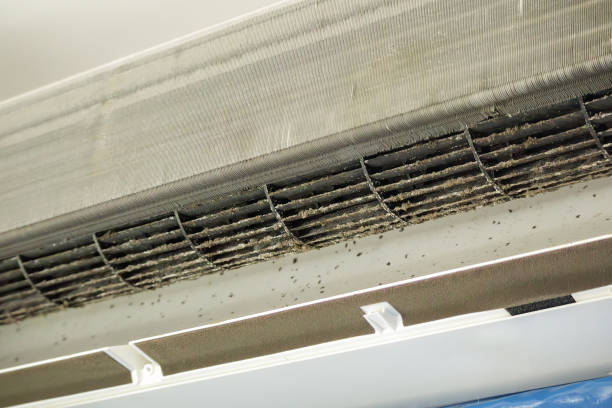 HVAC System Cleaning in Steiner Ranch, TX